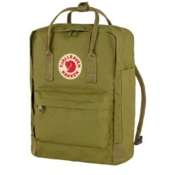 Fjallraven Kanken Classic Backpack Foliage Green(Fjallraven Kanken Classic Backpack Foliage Green) -Best Clothing Store 23905 3