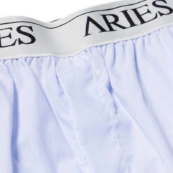 Aries Womens Temple Boxer Shorts Blue(Aries Womens Temple Boxer Shorts Blue) -Best Clothing Store AriesWomensTempleBoxerShortsBlue 2 ba163869 09be 4788 b5aa b54c35589799