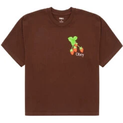 Obey Womens Strawberry Bunch Tee Java Brown(Obey Womens Strawberry Bunch Tee Java Brown)