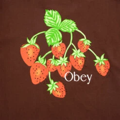 Obey Womens Strawberry Bunch Tee Java Brown(Obey Womens Strawberry Bunch Tee Java Brown) -Best Clothing Store ObeyWomensStrawberryBunchTeeJavaBrown2 1368874f 7fea 4315 ad61 4fe3338a49aa