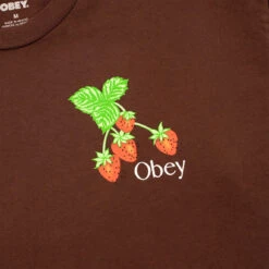 Obey Womens Strawberry Bunch Tee Java Brown(Obey Womens Strawberry Bunch Tee Java Brown) -Best Clothing Store ObeyWomensStrawberryBunchTeeJavaBrown4 ab200d8b 0e8b 4080 8250 e07ced0594e0