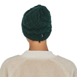 Patagonia Womens Honeycomb Knit Beanie Northern Green(Patagonia Womens Honeycomb Knit Beanie Northern Green) -Best Clothing Store WBF21 28996 NORG BH2